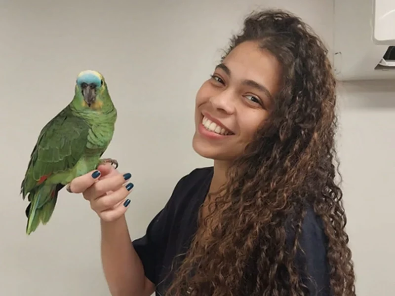 ediane miguel veterinária da birdcare